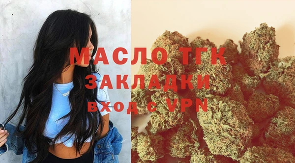 гидра Арсеньев