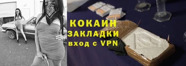 гидра Арсеньев