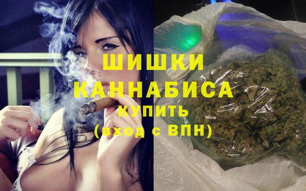 гидра Арсеньев