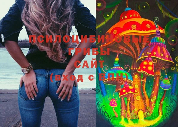 гашик Армянск