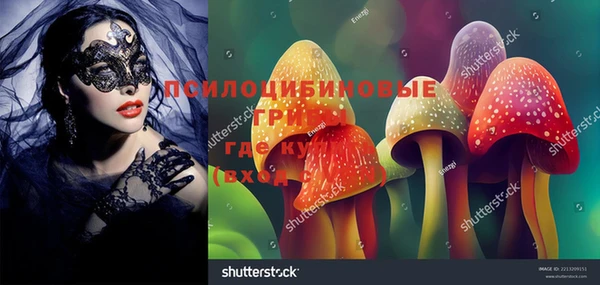 гидра Арсеньев