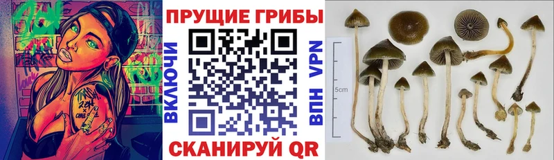 Галлюциногенные грибы мухоморы Арск